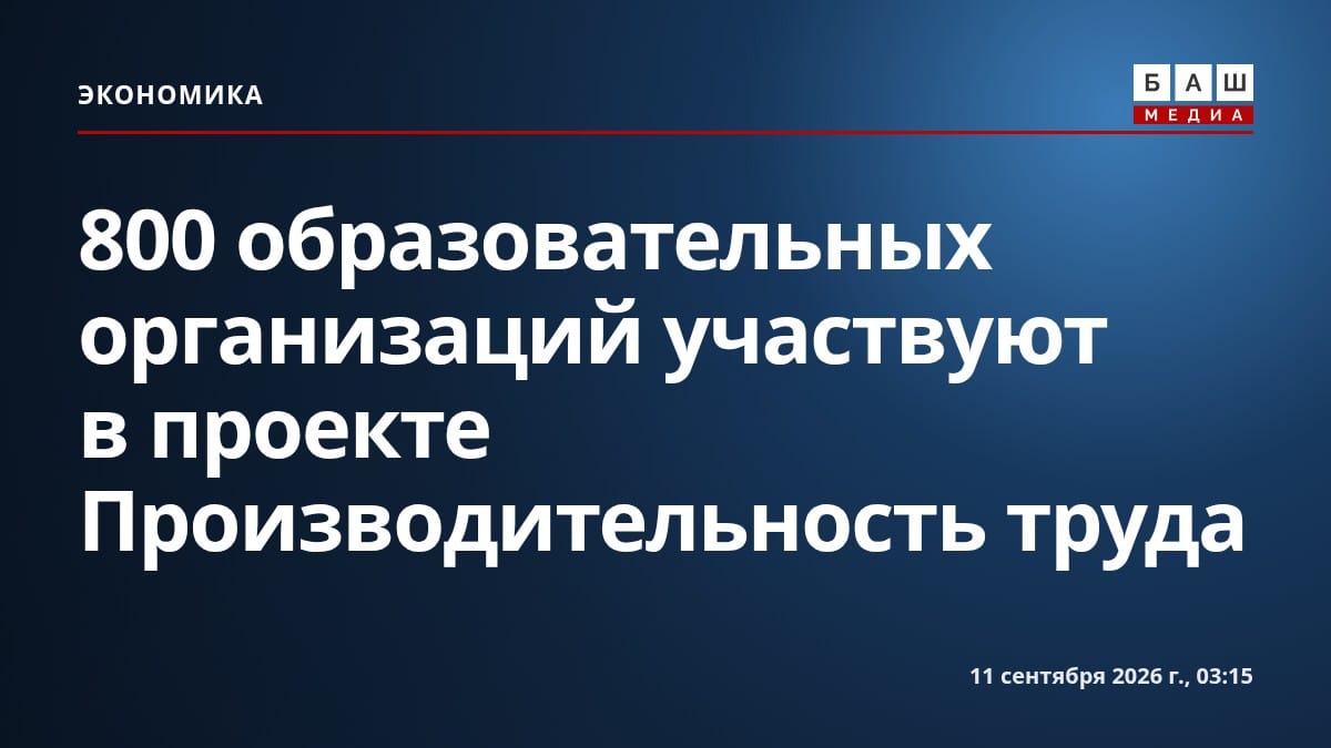 800 образовательных организаций участвуют в проекте Производительность труда