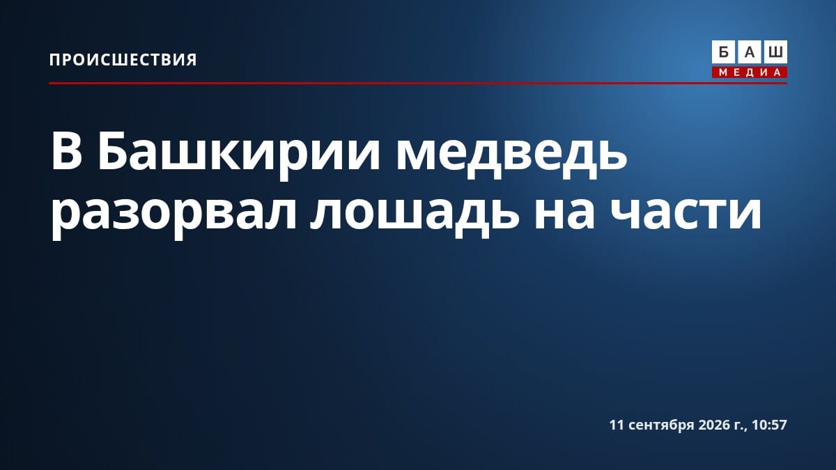 В Башкирии медведь разорвал лошадь на части