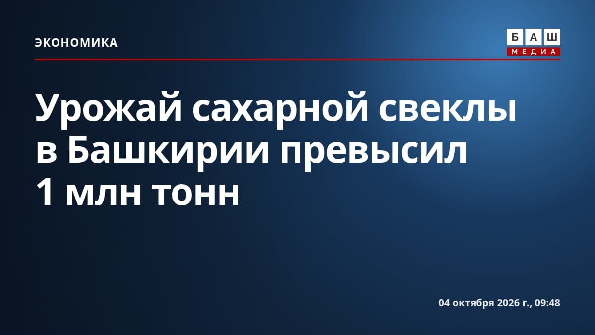 Урожай сахарной свеклы в Башкирии превысил 1 млн тонн