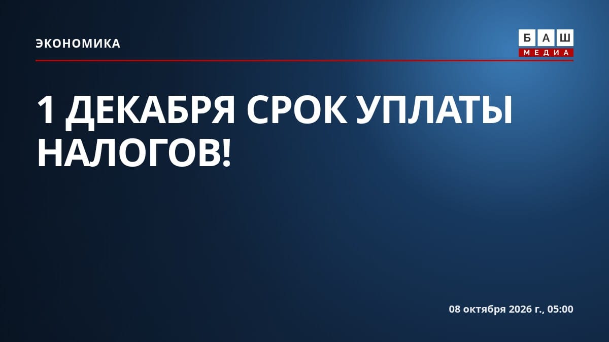 1 ДЕКАБРЯ СРОК УПЛАТЫ НАЛОГОВ!