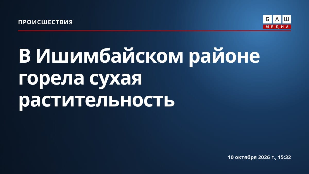 В Ишимбайском районе горела сухая растительность