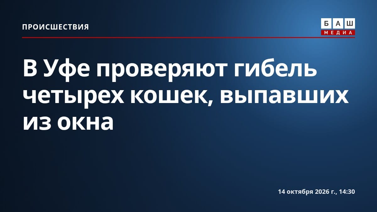 В Уфе проверяют гибель четырех кошек, выпавших из окна