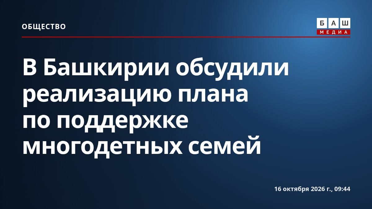 В Башкирии обсудили реализацию плана по поддержке многодетных семей