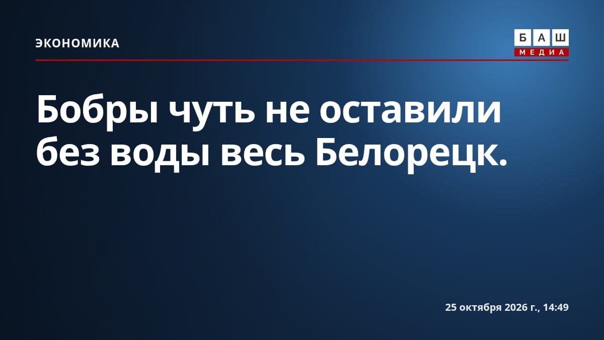 Бобры чуть не оставили без воды весь Белорецк.