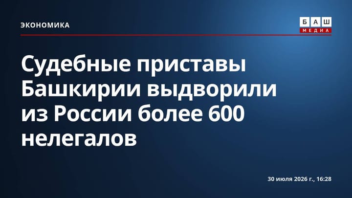 Судебные приставы Башкирии выдворили из России более 600 нелегалов