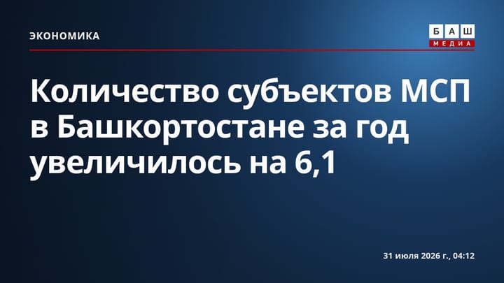 Количество субъектов МСП в Башкортостане за год увеличилось на 6,1%