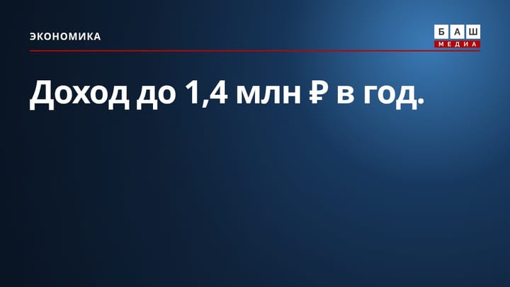Доход до 1,4 млн ₽ в год.