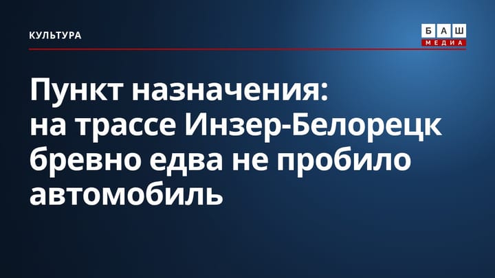 Пункт назначения: на трассе Инзер-Белорецк бревно едва не пробило автомобиль