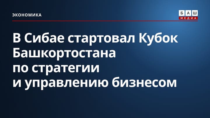В Сибае стартовал Кубок Башкортостана по стратегии и управлению бизнесом
