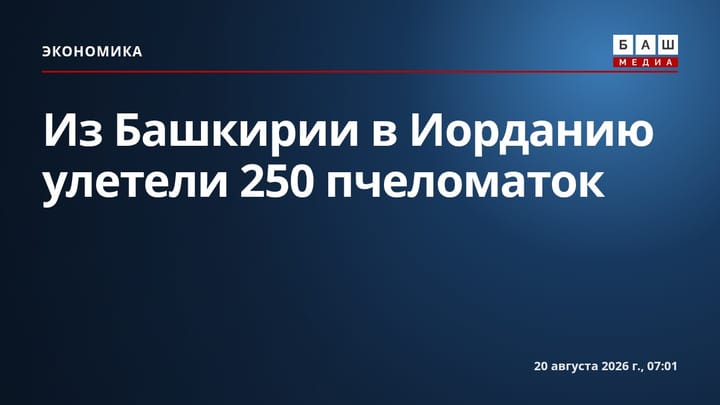 Из Башкирии в Иорданию улетели 250 пчеломаток