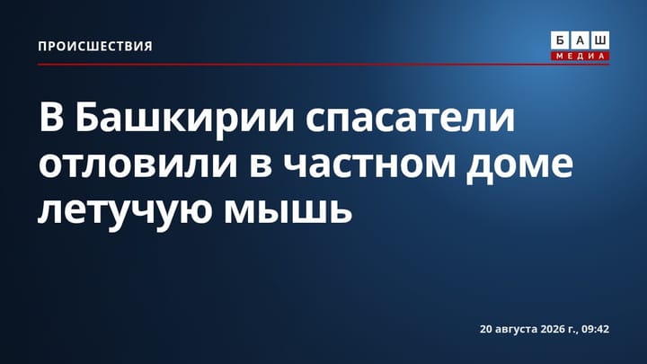 В Башкирии спасатели отловили в частном доме летучую мышь