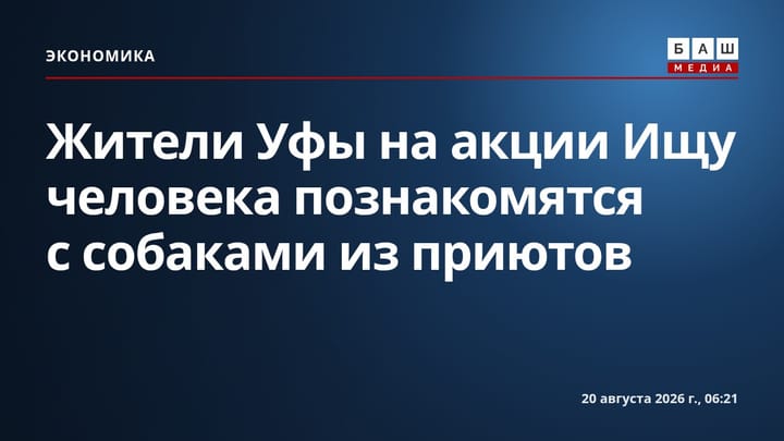 Жители Уфы на акции Ищу человека познакомятся с собаками из приютов