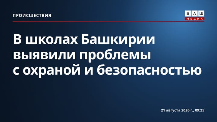 В школах Башкирии выявили проблемы с охраной и безопасностью