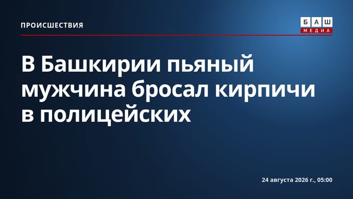 В Башкирии пьяный мужчина бросал кирпичи в полицейских