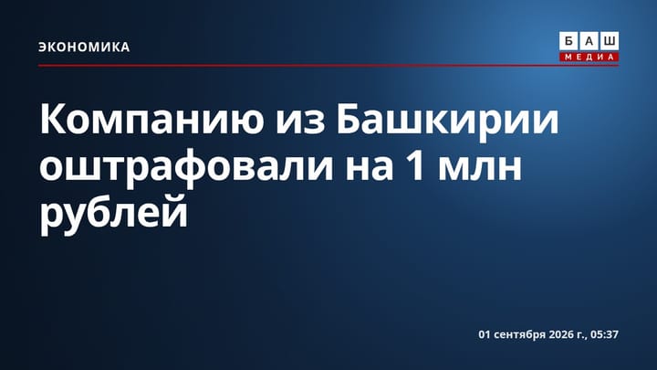 Компанию из Башкирии оштрафовали на 1 млн рублей