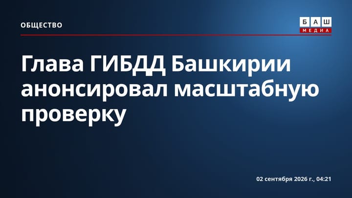 Глава ГИБДД Башкирии анонсировал масштабную проверку