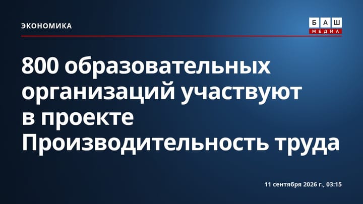 800 образовательных организаций участвуют в проекте Производительность труда