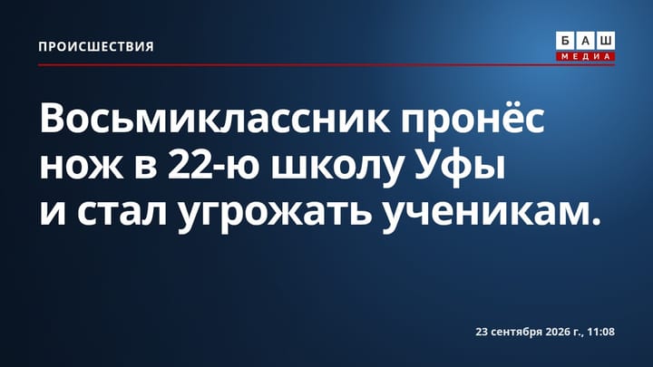 Восьмиклассник пронёс нож в 22-ю школу Уфы и стал угрожать ученикам.