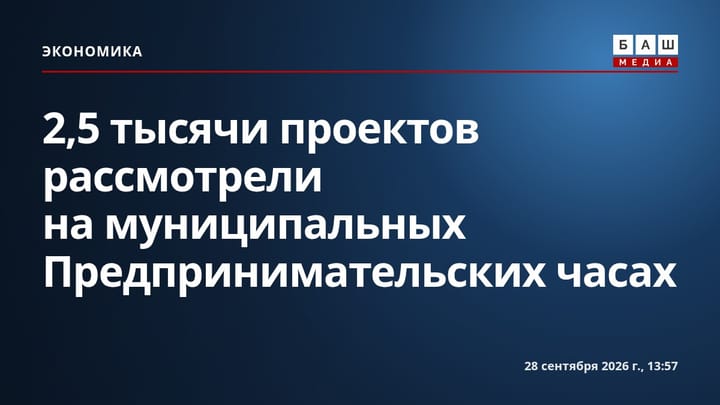 2,5 тысячи проектов рассмотрели на муниципальных Предпринимательских часах