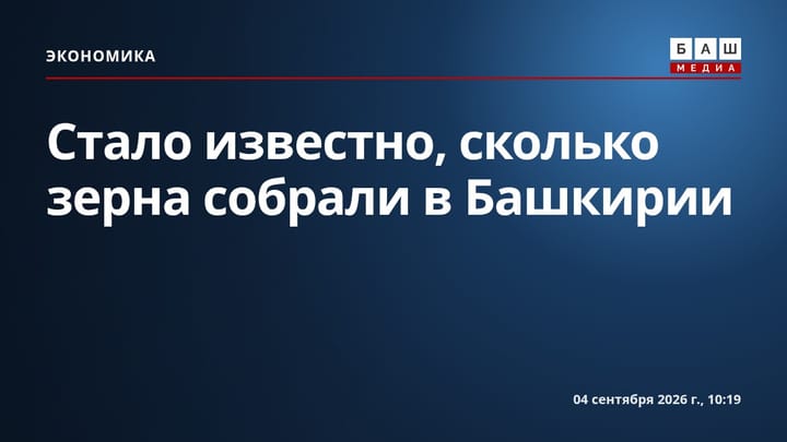 Стало известно, сколько зерна собрали в Башкирии