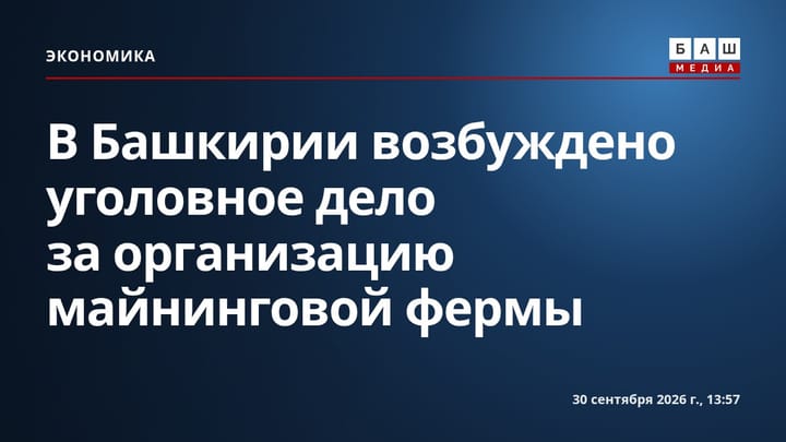 В Башкирии возбуждено уголовное дело за организацию майнинговой фермы