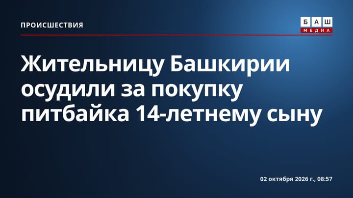 Жительницу Башкирии осудили за покупку питбайка 14-летнему сыну