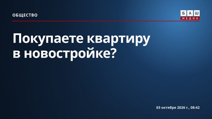 Покупаете квартиру в новостройке?