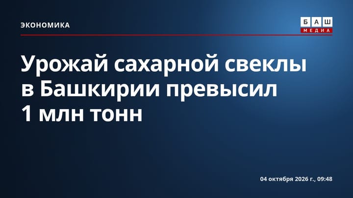 Урожай сахарной свеклы в Башкирии превысил 1 млн тонн