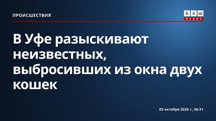 В Уфе разыскивают неизвестных, выбросивших из окна двух кошек