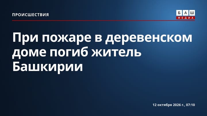При пожаре в деревенском доме погиб житель Башкирии