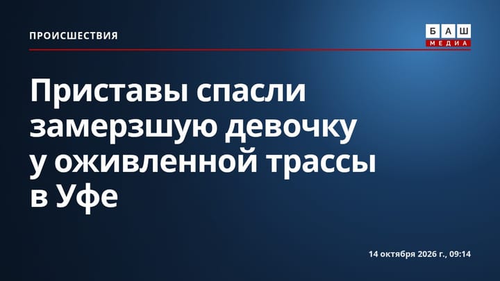 Приставы спасли замерзшую девочку у оживленной трассы в Уфе