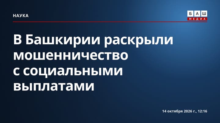 В Башкирии раскрыли мошенничество с социальными выплатами