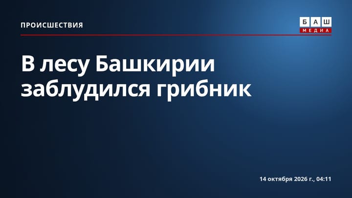 В лесу Башкирии заблудился грибник