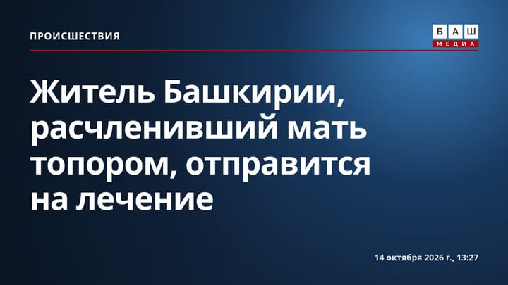 Житель Башкирии, расчленивший мать топором, отправится на лечение