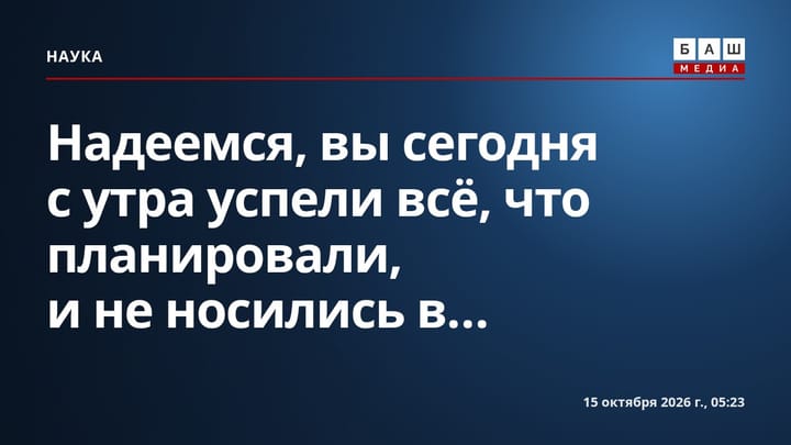 Надеемся, вы сегодня с утра успели всё, что планировали, и не носились в...