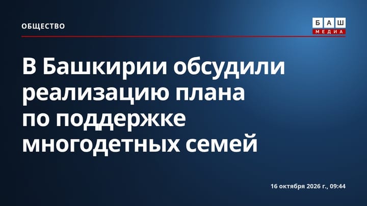 В Башкирии обсудили реализацию плана по поддержке многодетных семей