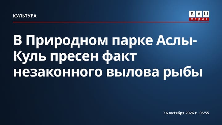 В Природном парке Аслы-Куль пресен факт незаконного вылова рыбы