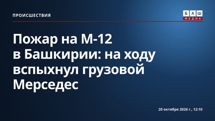 Пожар на М-12 в Башкирии: на ходу вспыхнул грузовой Мерседес