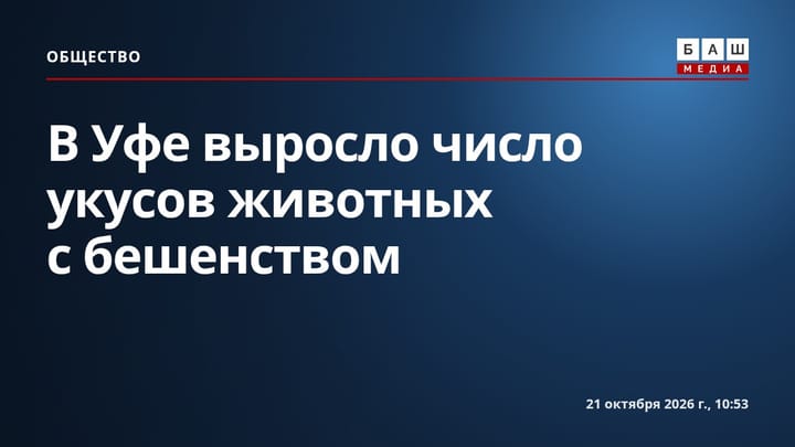 В Уфе выросло число укусов животных с бешенством