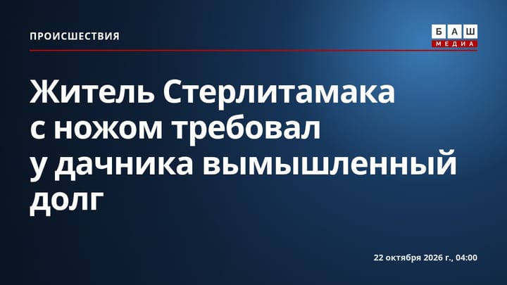 Житель Стерлитамака с ножом требовал у дачника вымышленный долг
