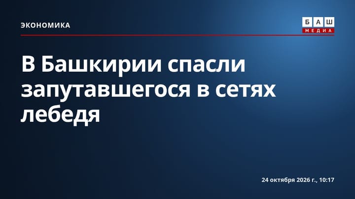 В Башкирии спасли запутавшегося в сетях лебедя