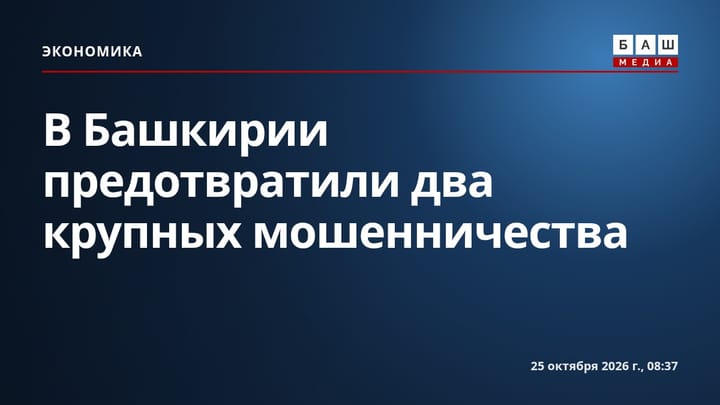 В Башкирии предотвратили два крупных мошенничества