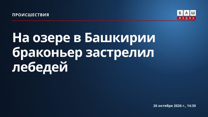 На озере в Башкирии браконьер застрелил лебедей