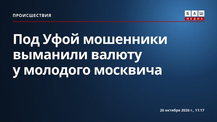 Под Уфой мошенники выманили валюту у молодого москвича